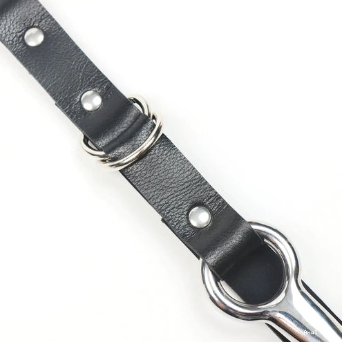 5853 Kinky with Anal Collar EverydayUse and Hook Leash 1211